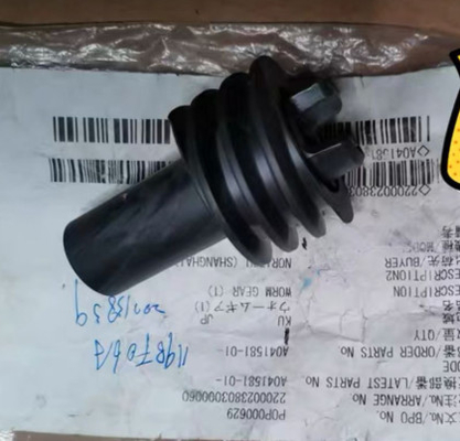 LA CHINE Engrenage à vis sans fin de pièce de rechange de Noritsu Minilab A041581-01 A041581 fournisseur