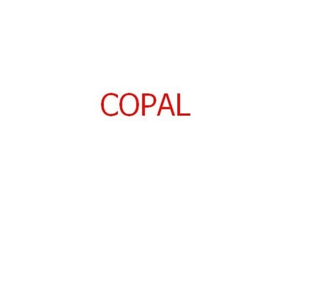 LA CHINE filtre chimique pour le copal 6030/6550 minilab 140x22x35mm fournisseur