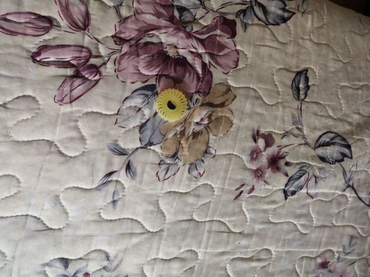 A058613 A058613-01 ROLLEUR D'ÉJECTION OU DENT DÉTÉ 24 Pour le laboratoire de NORITSU fournisseur