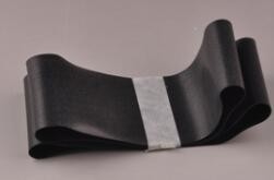Ceinture de minilab de Fuji 323D981421/323D981421B fournisseur