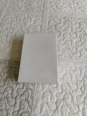 Filtre à air pour la frontière 500 de Fuji numéro de la pièce 138D1058122 138D1058122B de 550 570 Minilab fournisseur