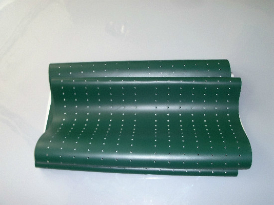 Poli Laserlab 3049 Digital Minilab Part Ceinture Verte fournisseur